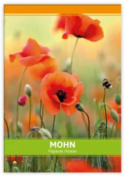 Mohn Für Werbezwecke (100 Tütchen) | Mohnsamen Von FLORTUS -Deutschland Grün Paradies Verkaufs-Shop 546524 Mohn fuer Werbezwecke 100 Tuetchen 1