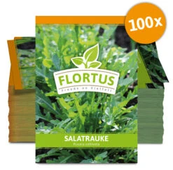 Salatrauke (100 Tütchen) | Salatraukesamen Von FLORTUS -Deutschland Grün Paradies Verkaufs-Shop 549271 Salatrauke 100 Tuetchen 2000 0451 100x 0