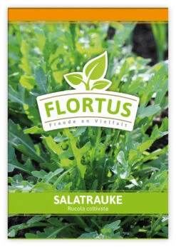 Salatrauke (100 Tütchen) | Salatraukesamen Von FLORTUS