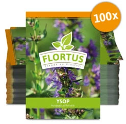 Ysop (100 Tütchen) | Ysopsamen Von FLORTUS