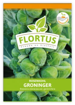 Rosenkohl Groninger (100 Stück) | Rosenkohlsamen Von FLORTUS -Deutschland Grün Paradies Verkaufs-Shop 549860 Rosenkohl Groninger 100 Stueck 2000 0477 100x 1