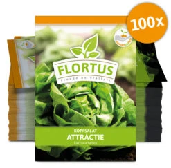 Kopfsalat Attractie (100 Stück) | Kopfsalatsamen Von FLORTUS -Deutschland Grün Paradies Verkaufs-Shop 549861 Kopfsalat Attractie 100 Stueck 2000 0478 100x 0
