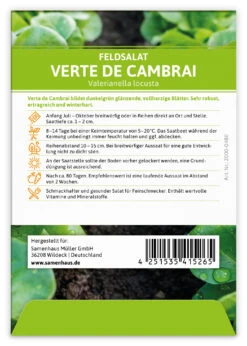 Feldsalat Verte De Cambrai (100 Stück) | Feldsalatsamen Von FLORTUS -Deutschland Grün Paradies Verkaufs-Shop 549863 Feldsalat Verte de Cambrai 100 Stueck 2000 0480 100x 2