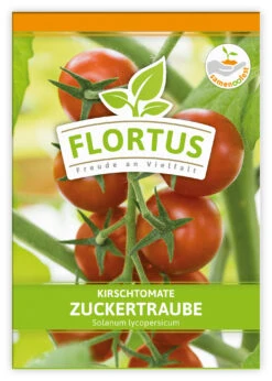 Kirschtomate Zuckertraube (100 Stück) | Kirschtomatensamen Von FLORTUS 5 Kirschtomate Zuckertraube (100 Stück) | Kirschtomatensamen Von FLORTUS -Deutschland Grün Paradies Verkaufs-Shop 549864 Kirschtomate Zuckertraube 100 Stueck 2000 0481 100x 1