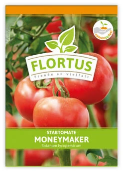 Tomate Moneymaker (100 Stück) | Tomatensamen Von FLORTUS -Deutschland Grün Paradies Verkaufs-Shop 549868 Tomate Moneymaker 100 Stueck 2000 0485 100x 1