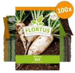 Rettich Rex (100 Stück) | Rettichsamen Von FLORTUS 5 Rettich Rex (100 Stück) | Rettichsamen Von FLORTUS -Deutschland Grün Paradies Verkaufs-Shop 549872 Rettich Rex 100 Stueck 2000 0489 100x 0