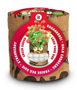 Deutschland Grün Paradies Verkaufs-Shop -Deutschland Grün Paradies Verkaufs-Shop 550257 Greensquad Suesse Erdbeere 18027706 bz 0