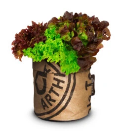 Greensquad Knackiger Salat | Anzuchtsets Von Baza -Deutschland Grün Paradies Verkaufs-Shop 550260 Greensquad Knackiger Salat 18027722 bz 1