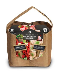 Deutschland Grün Paradies Verkaufs-Shop -Deutschland Grün Paradies Verkaufs-Shop 550265 Duo Garten Erdbeere 18037340 bz 0