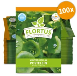 Winterportulak Postelein (100 Tütchen) | Portulaksamen Von FLORTUS -Deutschland Grün Paradies Verkaufs-Shop 551880 Winterportulak Postelein 100 Tuetchen 2000 0562 100x 0