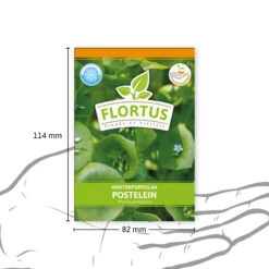Winterportulak Postelein (100 Tütchen) | Portulaksamen Von FLORTUS -Deutschland Grün Paradies Verkaufs-Shop 551880 Winterportulak Postelein 100 Tuetchen 2000 0562 3