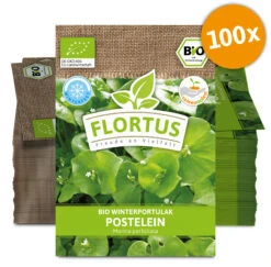 Winterportulak Postelein (100 Tütchen) | BIO Portulaksamen Von FLORTUS -Deutschland Grün Paradies Verkaufs-Shop 551882 BIO Winterportulak Postelein 100 Tuetchen 2000 0563 100x 0 1