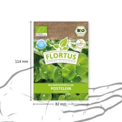 Winterportulak Postelein (100 Tütchen) | BIO Portulaksamen Von FLORTUS -Deutschland Grün Paradies Verkaufs-Shop 551882 BIO Winterportulak Postelein 100 Tuetchen 2000 0563 3
