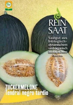 Zuckermelone Tendral Negro Tardio | BIO Melonensamen Von Reinsaat