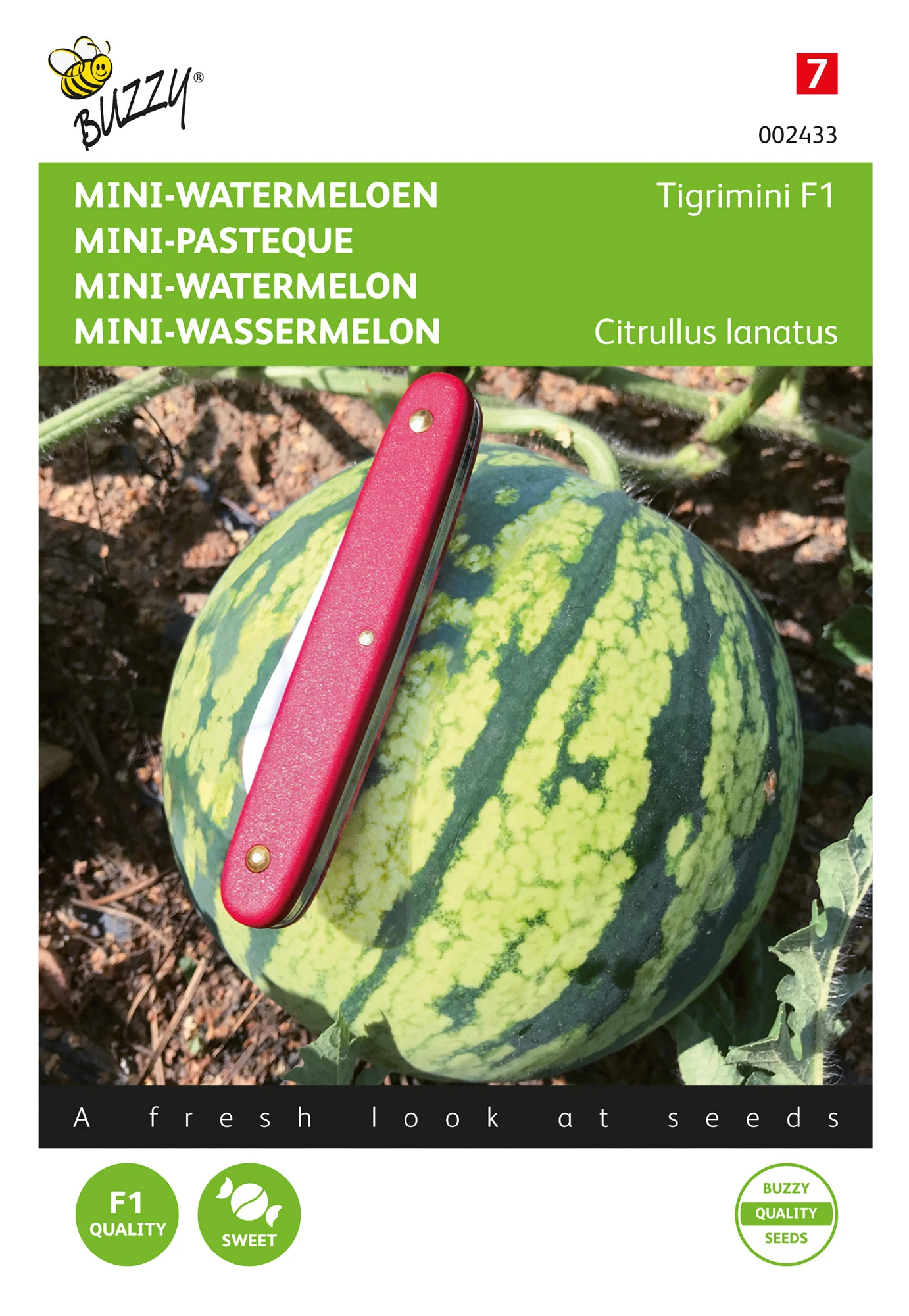 Wassermelone Tigrimini | Wassermelonensamen Von Buzzy Seeds 2 Wassermelone Tigrimini | Wassermelonensamen Von Buzzy Seeds – Bild 2