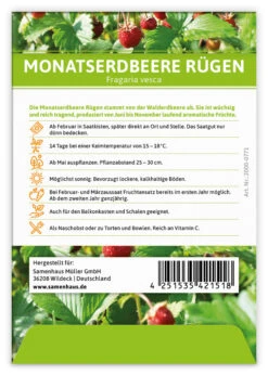 Monatserdbeere Rügen (100 Tütchen) | Erdbeersamen Von FLORTUS 5 Monatserdbeere Rügen (100 Tütchen) | Erdbeersamen Von FLORTUS -Deutschland Grün Paradies Verkaufs-Shop 555104 Monatserdbeere Ruegen 100 Tuetchen 2000 0771 100x 2