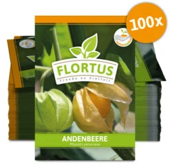 Andenbeere (100 Tütchen) | Andenbeerensamen Von FLORTUS 5 Andenbeere (100 Tütchen) | Andenbeerensamen Von FLORTUS -Deutschland Grün Paradies Verkaufs-Shop 555111 Andenbeere 100 Tuetchen 2000 0778 100x 0