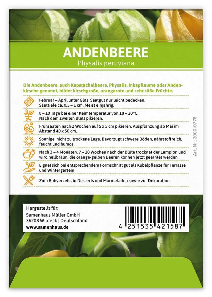 Andenbeere (100 Tütchen) | Andenbeerensamen Von FLORTUS 2 Andenbeere (100 Tütchen) | Andenbeerensamen Von FLORTUS – Bild 2