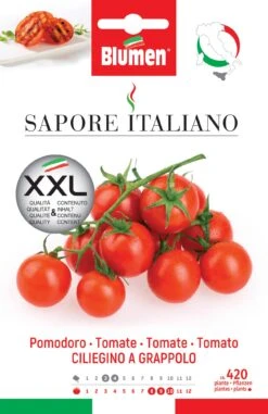 Tomate Ciliegino A Grappolo | Tomatensamen Von BLUMEN Group