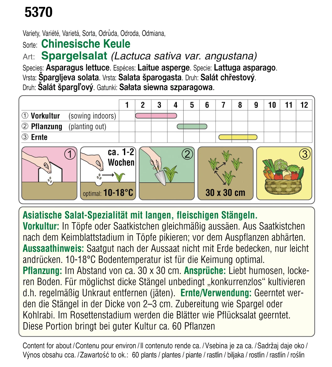 Spargelsalat Chinesische Keule | BIO Kopfsalatsamen Von Austrosaat 2 Spargelsalat Chinesische Keule | BIO Kopfsalatsamen Von Austrosaat – Bild 2